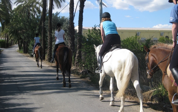 levas amigo paseo cerca de Murcia levas amigo paseo cerca de Murcia