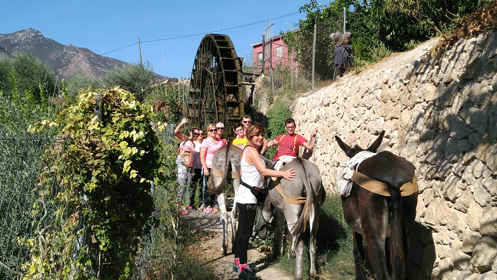 -31% Paseo en burros en Murcia, por 11€