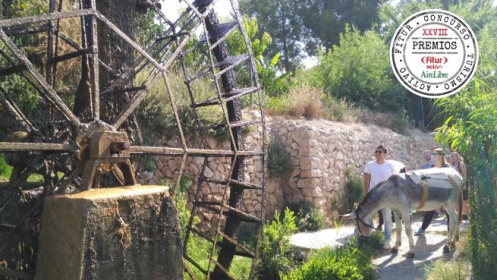 Senderismo con burros en el Valle de Ricote 