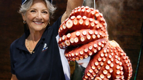 MarisGalicia, la auténtica Gran Fiesta del Marisco en Alicante