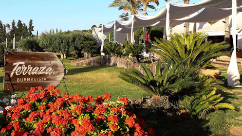 Terraza Buenavista: menú mediodía en un entorno único